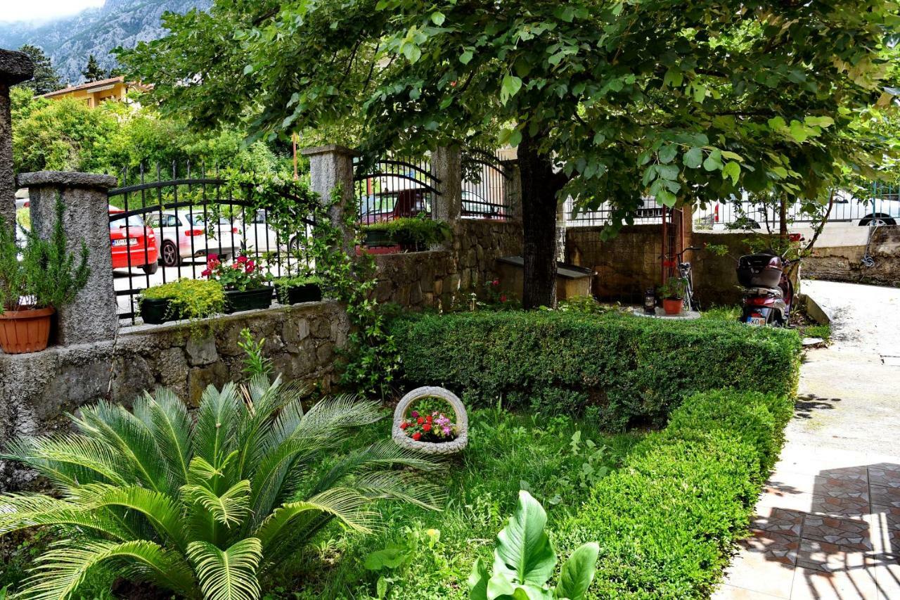 Apartments Martiva Kotor Bagian luar foto