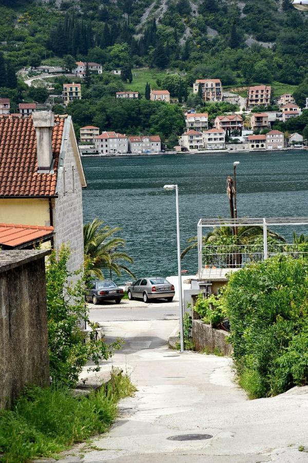 Apartments Martiva Kotor Bagian luar foto